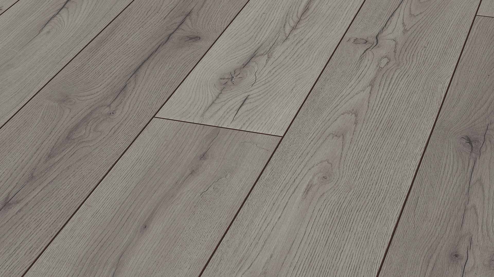 Century Oak Grey Kronotex Advanced, Kronotex Laminate Flooring Distributors