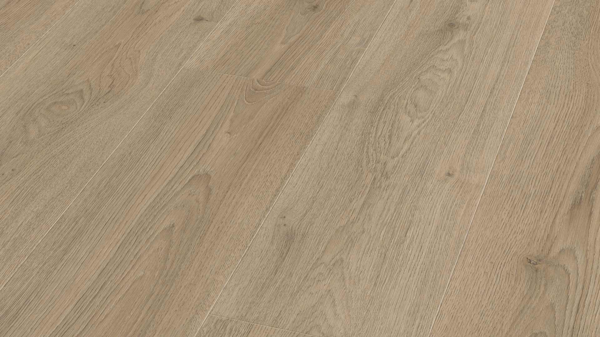 Kronotex Advanced Trend Oak Brown Laminate