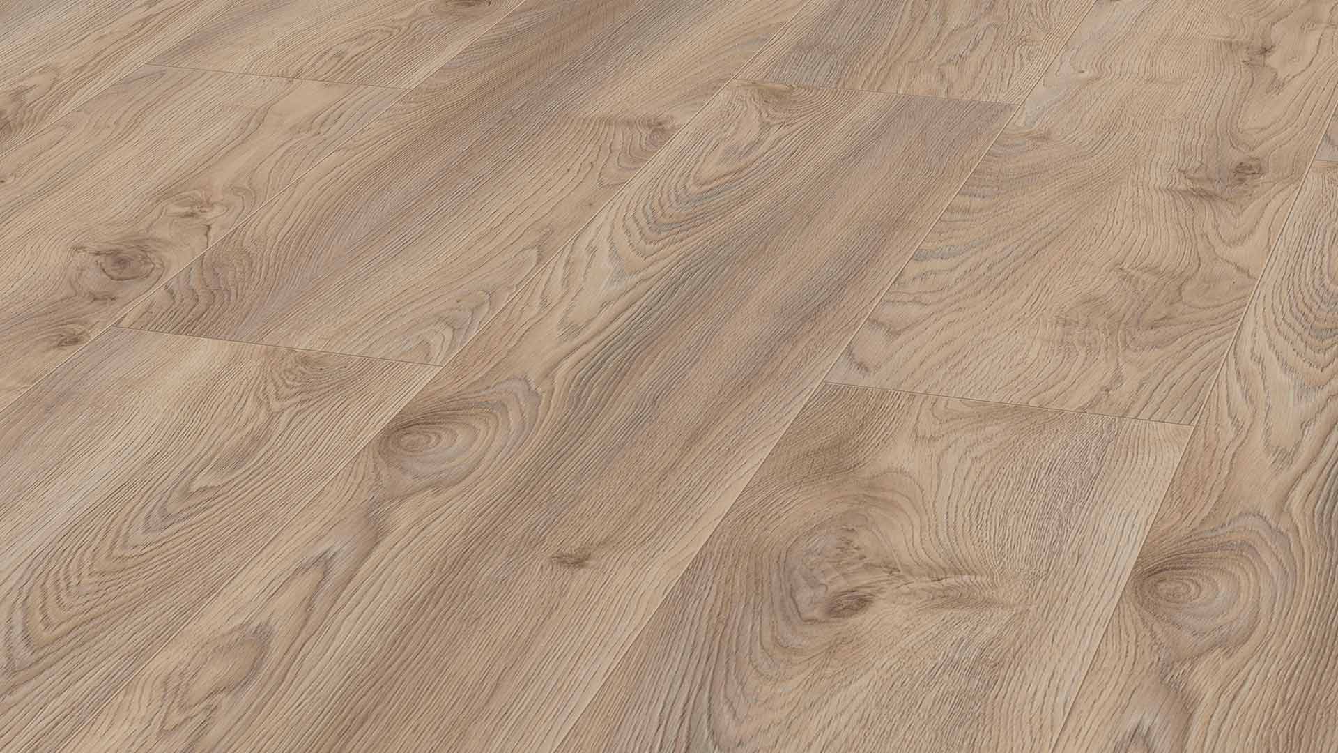 Kronotex Mammut Plus Makro Oak Beige Laminate